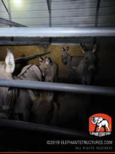 hurricane rated steel building