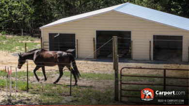 36x21 Steel Barn with Vertical Roof